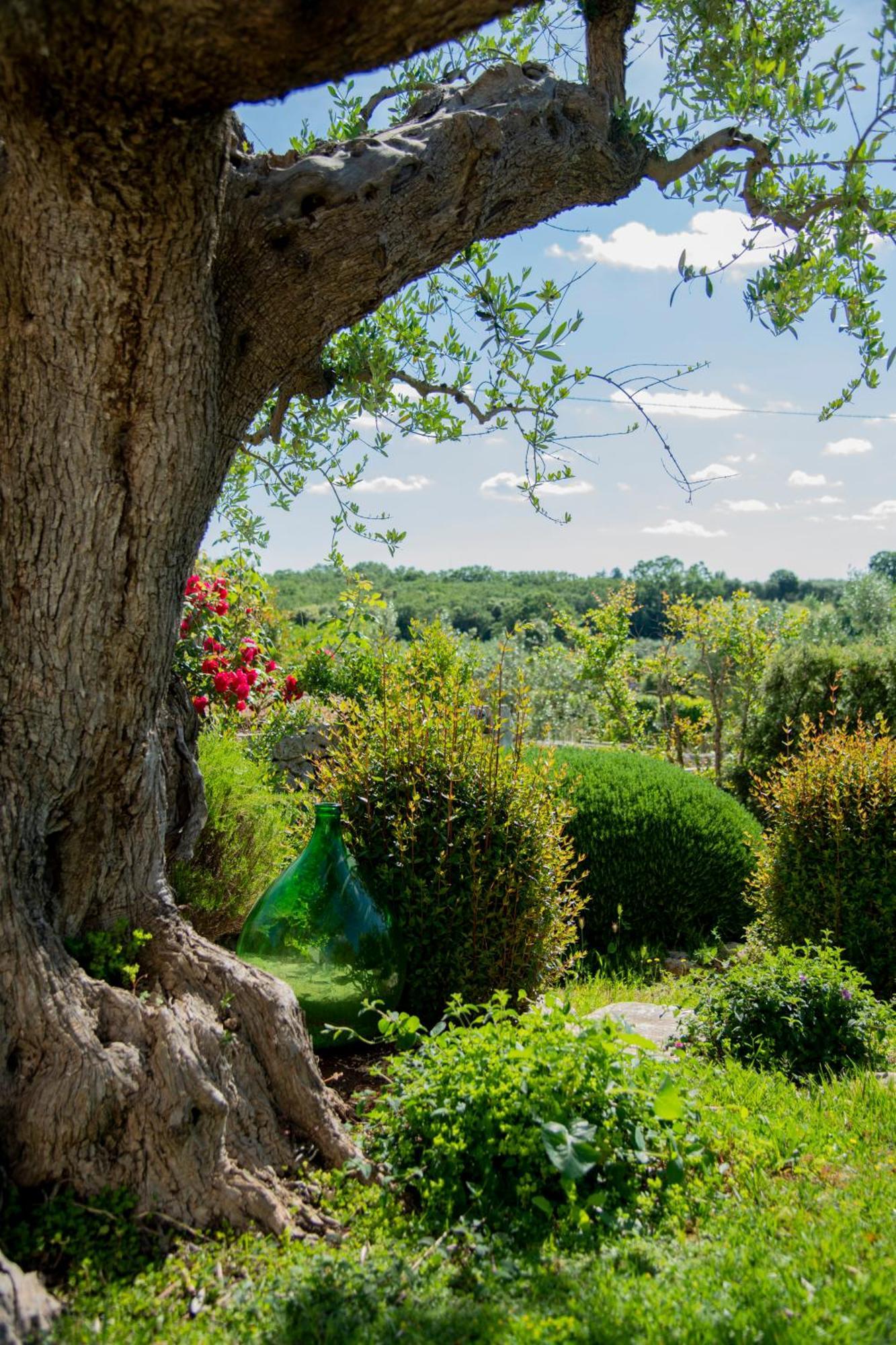 Trulli Arco Antico Vila Locorotondo Exterior foto